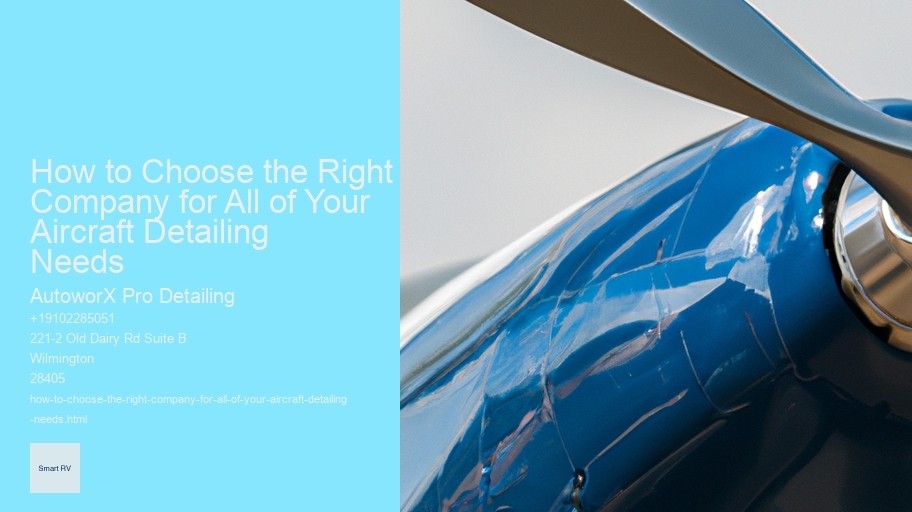 How to Choose the Right Company for All of Your Aircraft Detailing Needs 