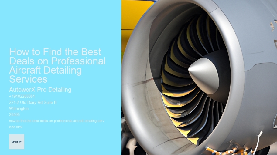 How to Find the Best Deals on Professional Aircraft Detailing Services 