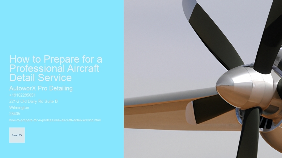How to Prepare for a Professional Aircraft Detail Service 
