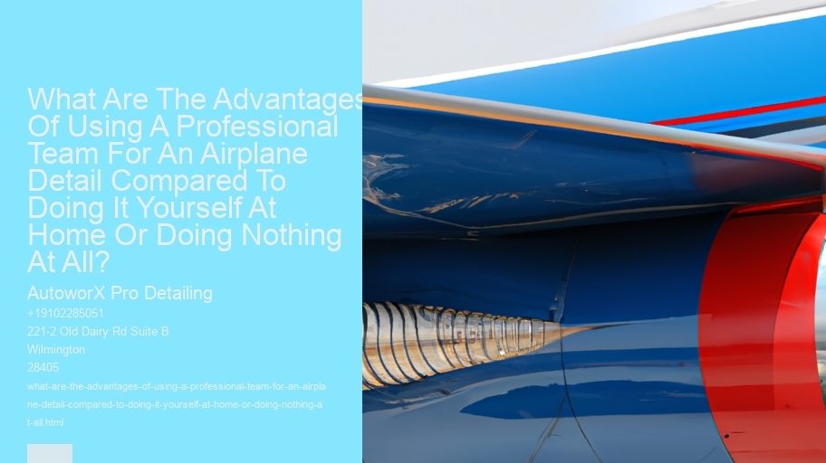 What Are The Advantages Of Using A Professional Team For An Airplane Detail Compared To Doing It Yourself At Home Or Doing Nothing At All?