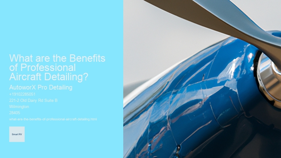 What are the Benefits of Professional Aircraft Detailing? 