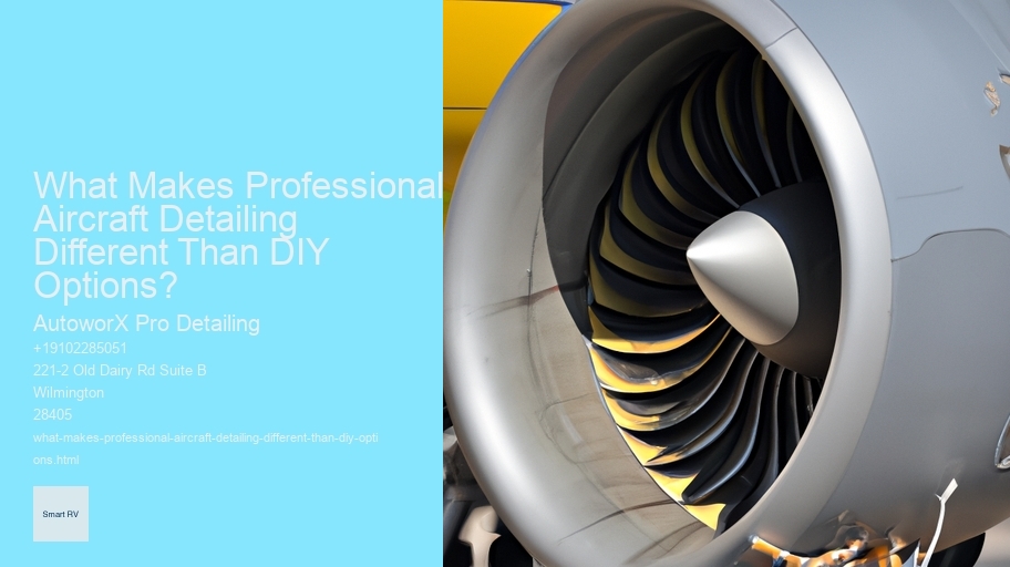 What Makes Professional Aircraft Detailing Different Than DIY Options? 