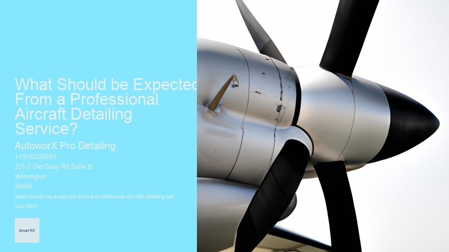 What Should be Expected From a Professional Aircraft Detailing Service? 